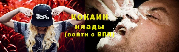 гидра Арсеньев