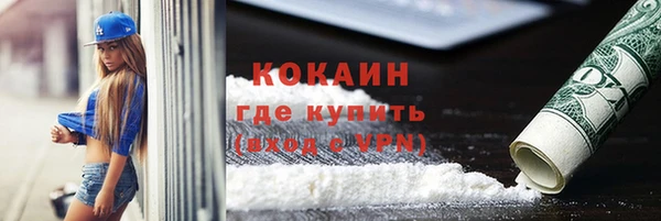 гидра Арсеньев