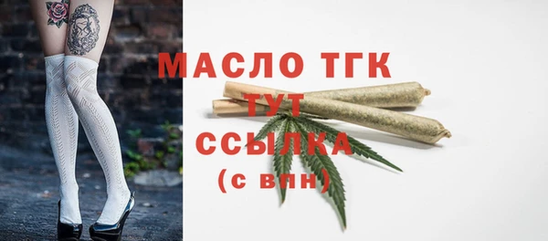 гидра Арсеньев